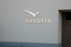 assuria1